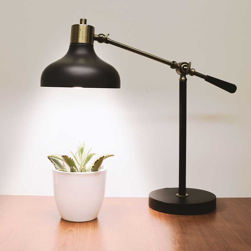 Uma lamapda iluminando uma planta representando como funciona a terapia psicanalitica